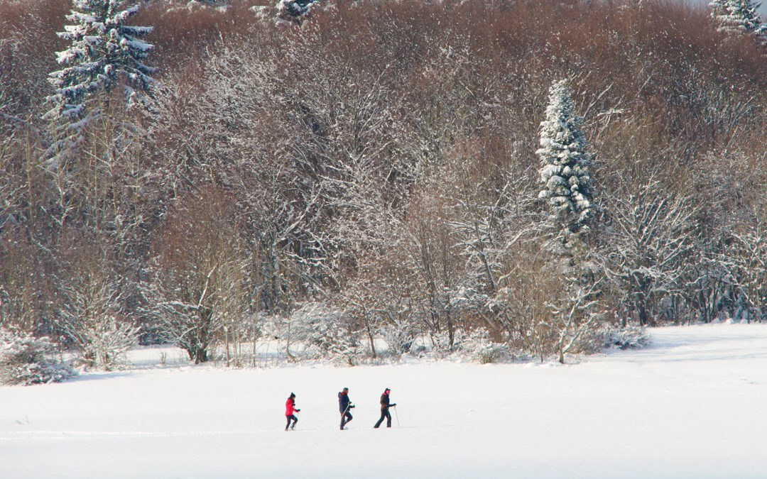 Les activités sportives